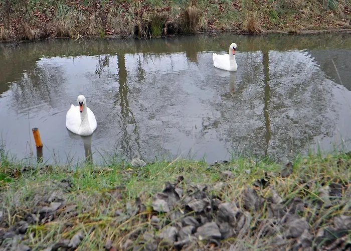 公寓 An Der Wieke, 65295 Moormerland